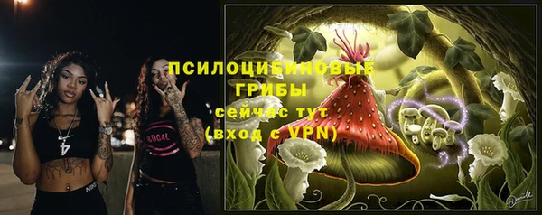 ECSTASY Горнозаводск
