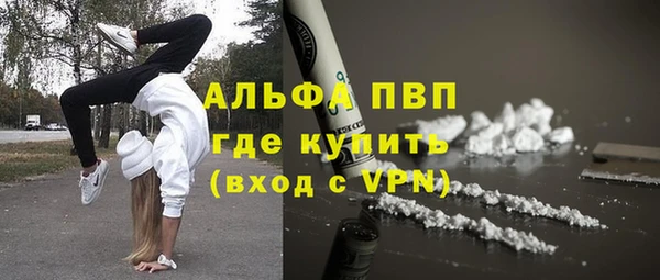 ГАЛЛЮЦИНОГЕННЫЕ ГРИБЫ Вяземский