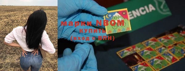 ГАЛЛЮЦИНОГЕННЫЕ ГРИБЫ Вяземский
