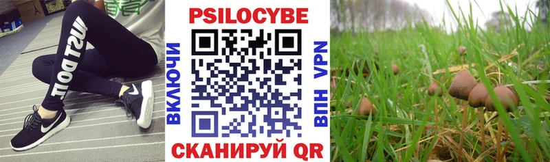 Псилоцибиновые грибы Psilocybe  kraken tor  Псков 